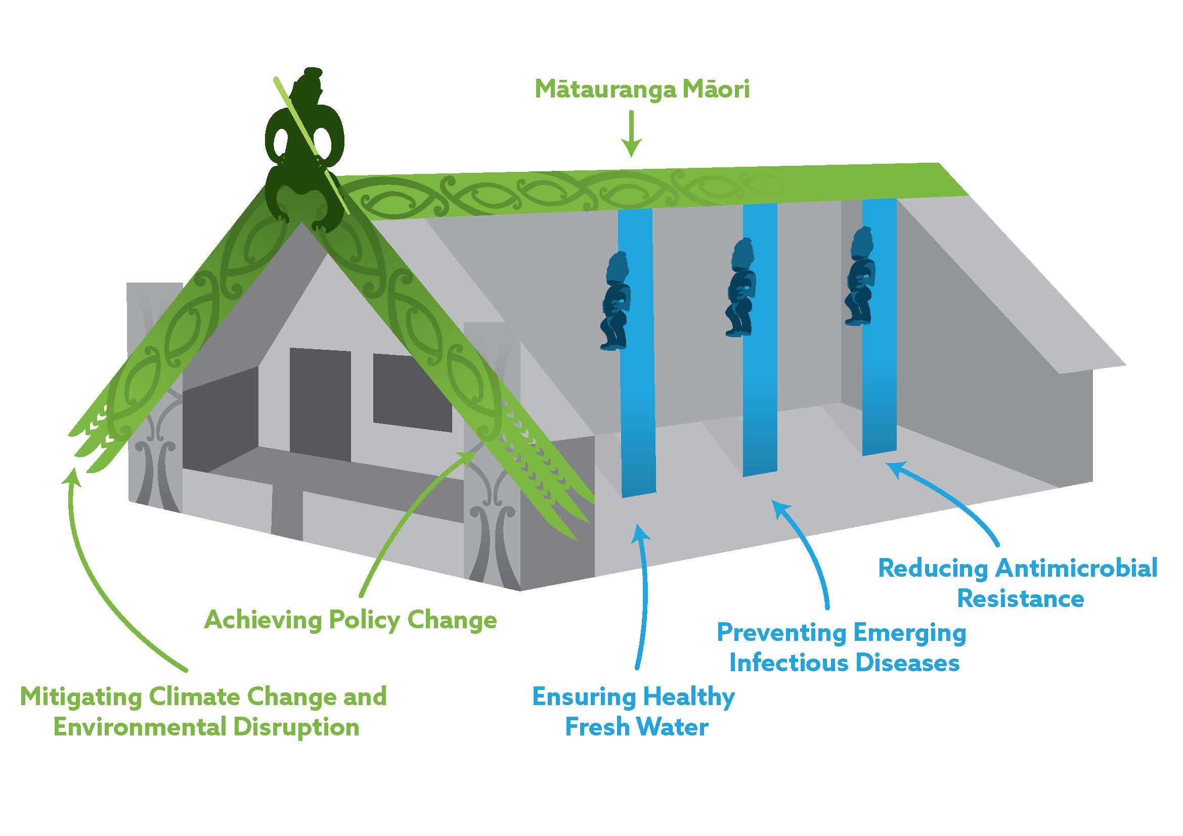 One Health Aotearoa Whare Illustration