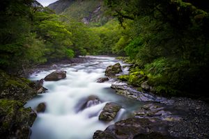 River through native bush