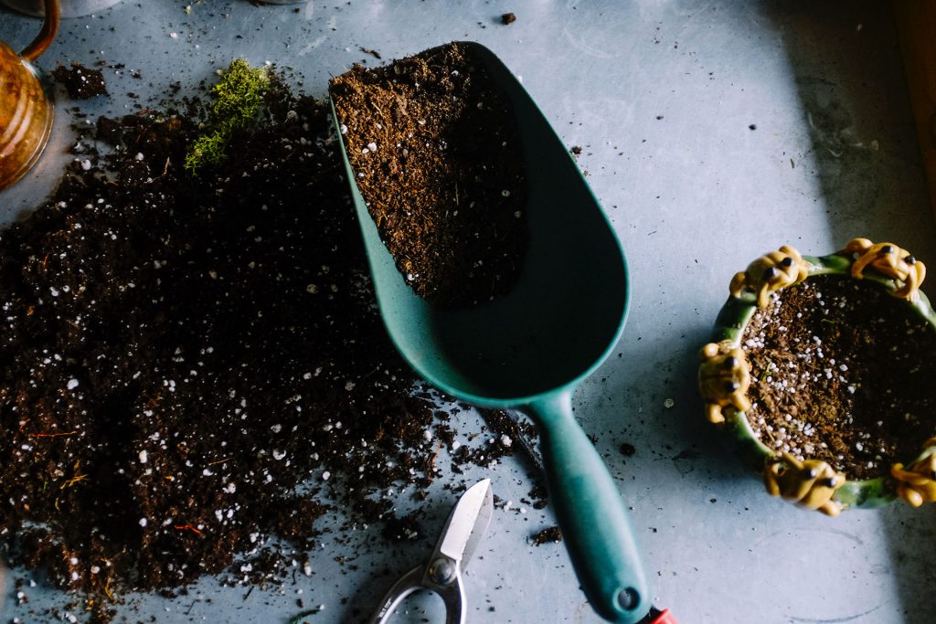 Scoop of potting mix on a table