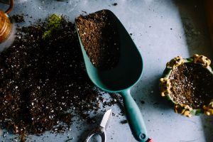 Scoop of potting mix on a table