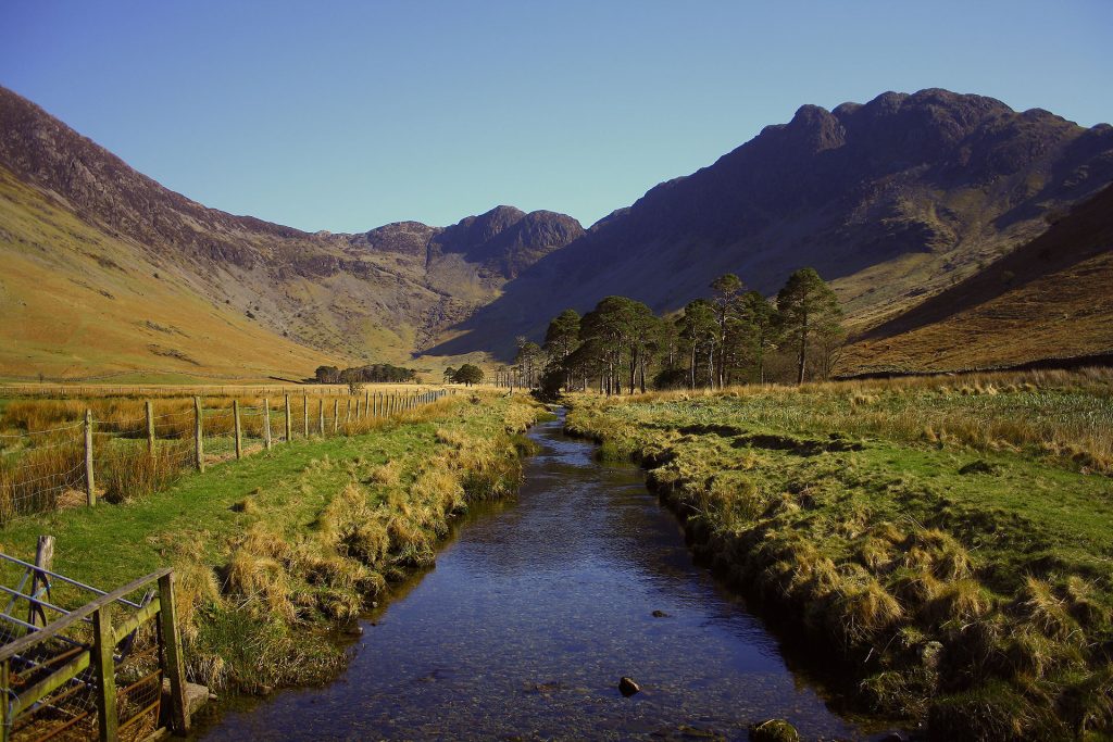 View of a stream between paddocks