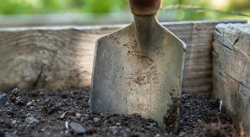 Garden trowel in soil