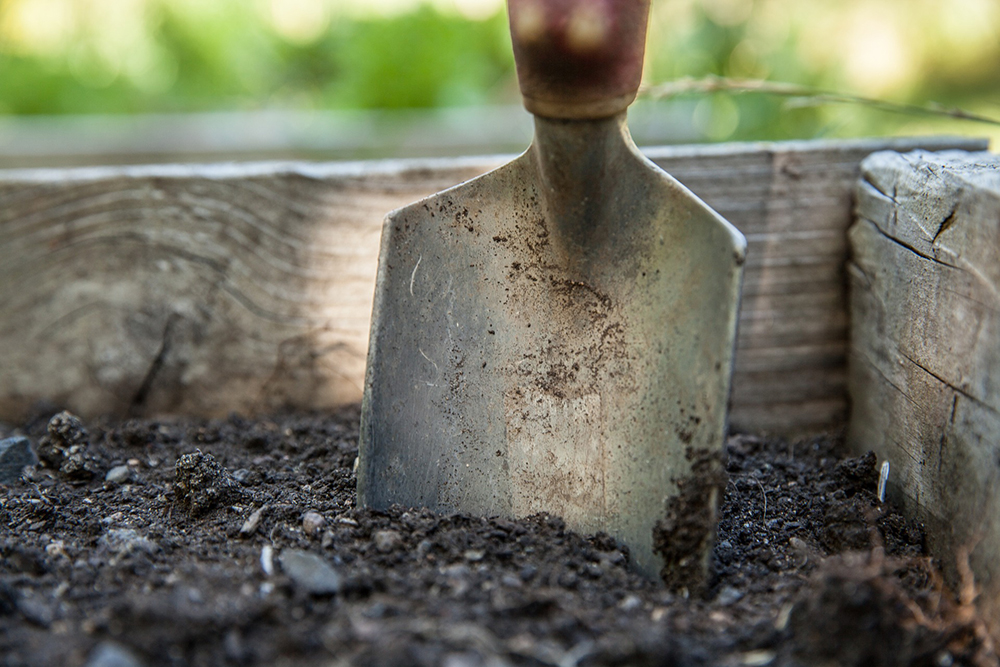 Garden trowel in soil