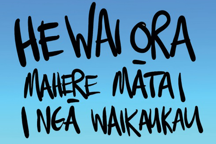 He-Wai-Ora-Mahere-Matai-I-Nga-Waikaukau
