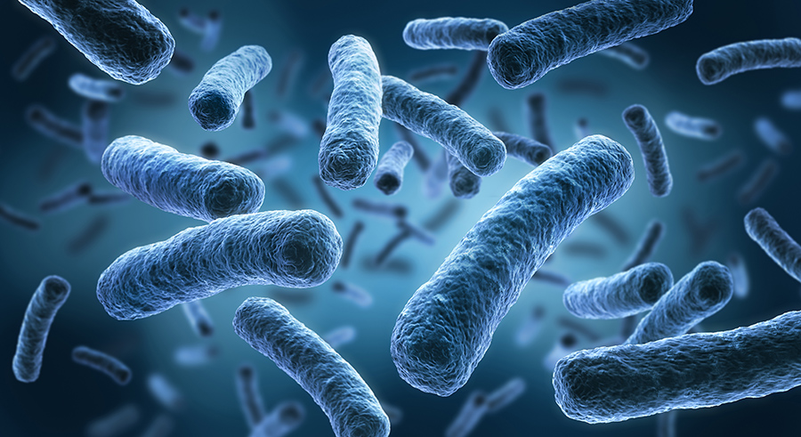 Legionella pneumophila - medical 3d illustration