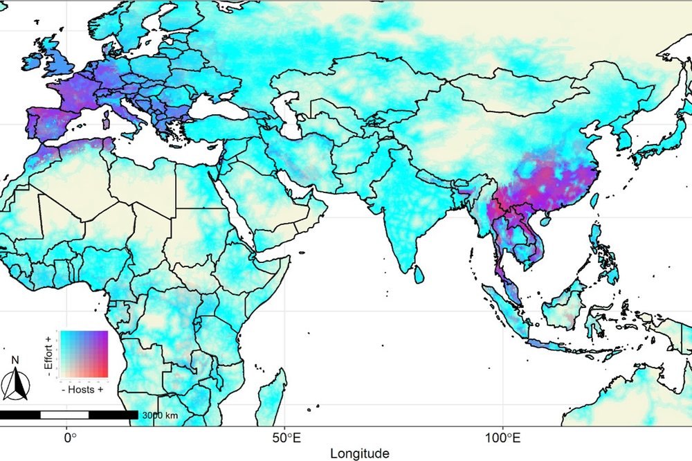 Mapping_hotspots_for_bats