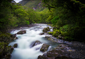 River through native bush