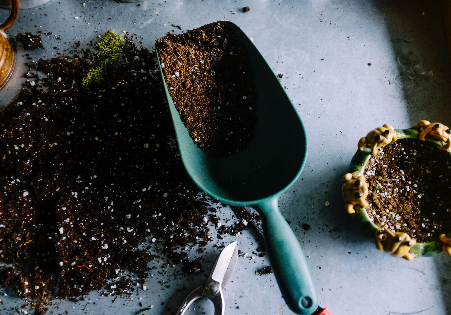 Scoop of potting mix on a table